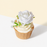 Mango Passion Vegan Naked Cake 6 inci
