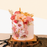 Mango Passion Vegan Naked Cake 6 inci