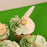 Sesuci Lebaran Cupcakes 6 Pieces