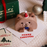 Christmas Teddy Whistle Cake 6 inch