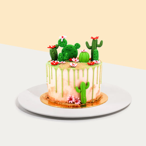 Cake decorated with cactus and succulents