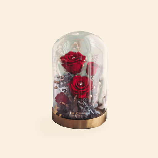Preserved roses within a bell jar
