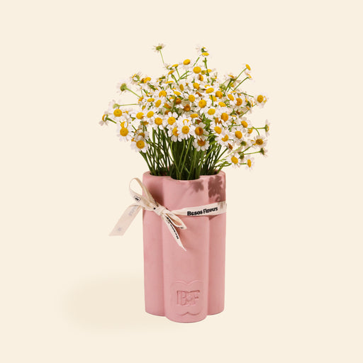 Chamomile flowers in a pink ceramic vase with a white ribbon wrapped around