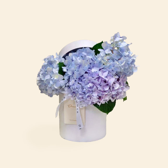 White hat flower box with hydrangea flowers
