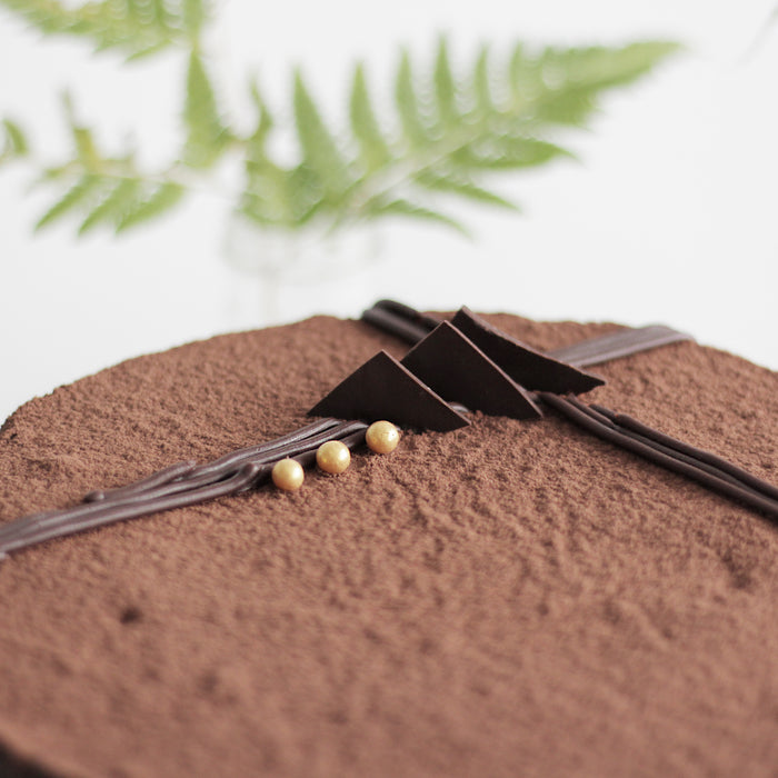 Chocolate Hazelnut Fudge 9 inch - Cake Together - Online Birthday Cake Delivery