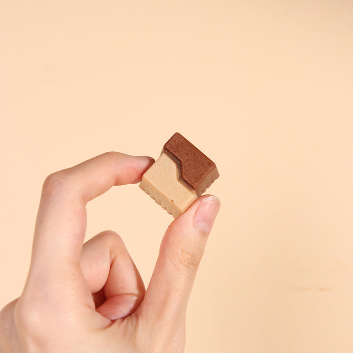 Chocolate Truffles and Pralines 12 Pieces