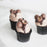 Chocolate Malt Cupcakes - Cake Together - Online Birthday Cake Delivery