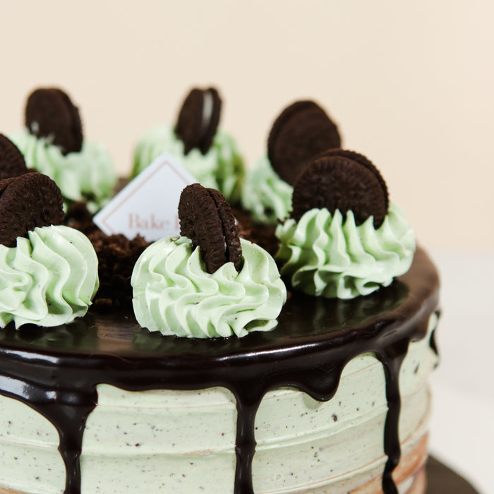 Chocolate Mint With Cookies and Cream 6 inch