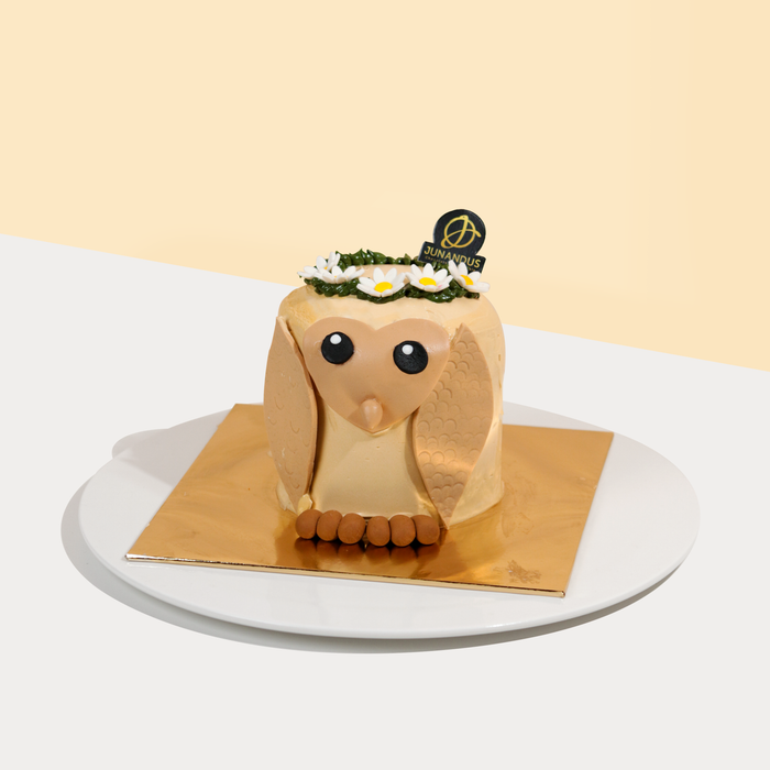 Junandus cute owl cake with fondant decorations