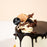 Chocolate Hazelnut 7 inch - Cake Together - Online Birthday Cake Delivery