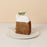 Earl Grey Butter Cake 6 inch - Cake Together - Online Birthday Cake Delivery