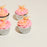 Mermaid Tail Cupcakes 6 Pieces - Cake Together - Online Birthday Cake Delivery