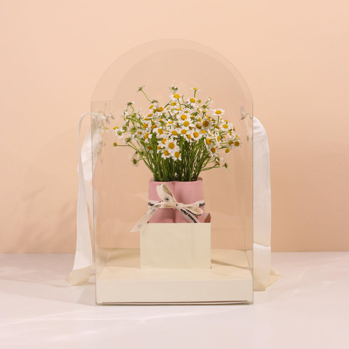 Chamomile in The Journey Vase - Cake Together - Online Birthday Cake Delivery