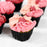 Deluxe Pink Ombre Cupcake