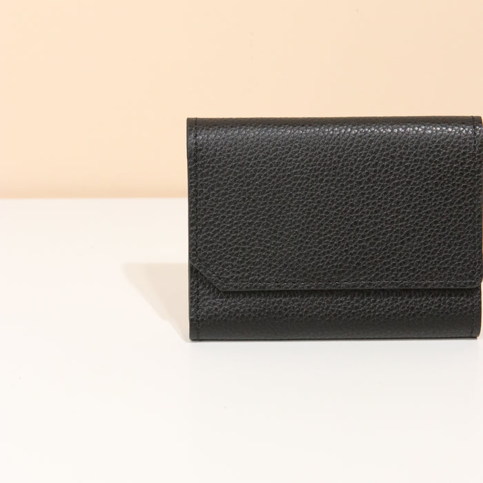 ana tomy Leather Non-Wallet in Ebony