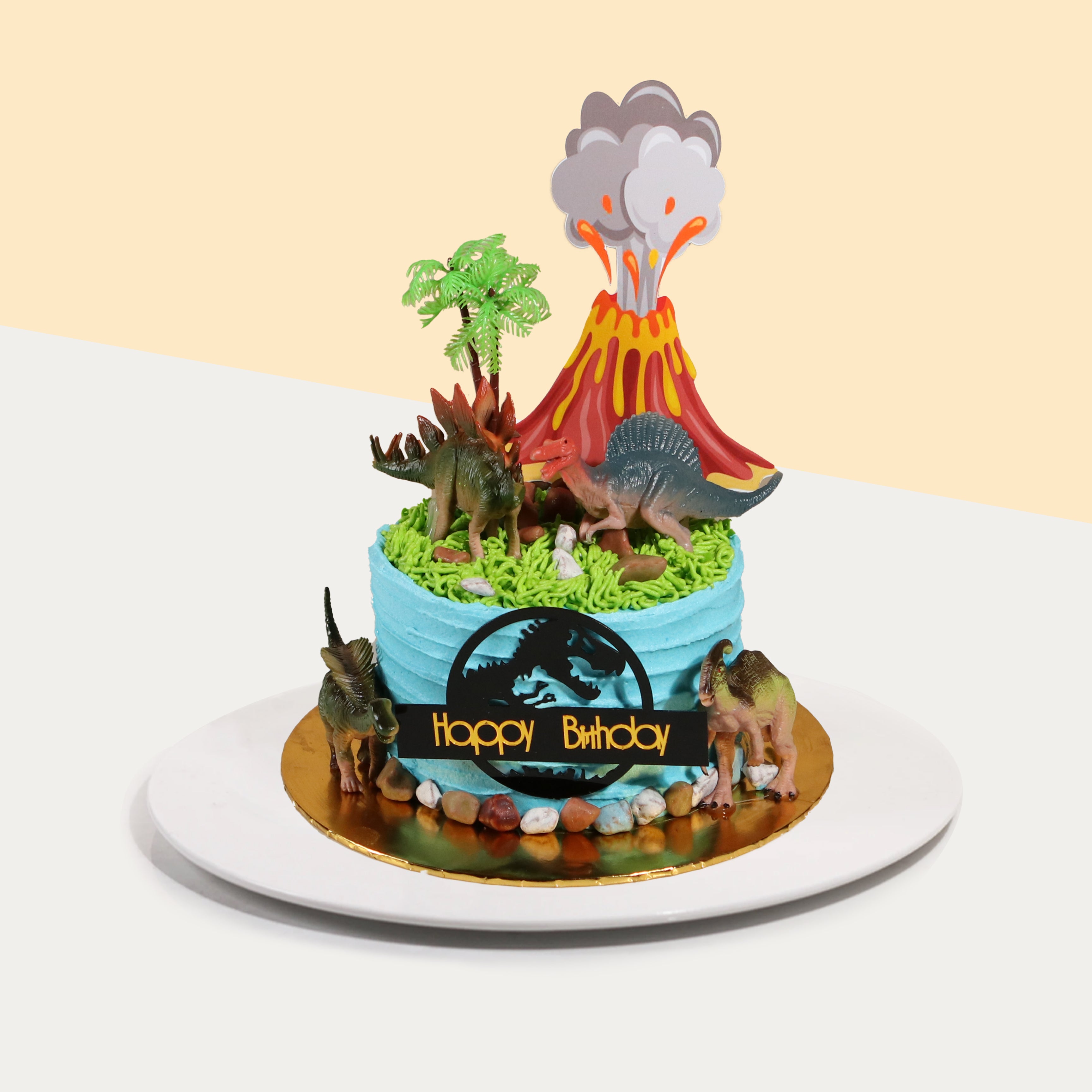 Volcano Cake | Themed Cake With Dry Ice