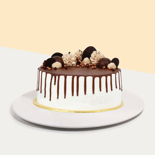 Ice cream cake drizzled with chocolate, garnished with creamy swirls and chocolate pieces