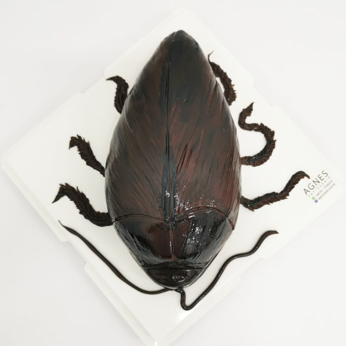 Cockroach Cake with Cream Guts – The Recipe Blogger