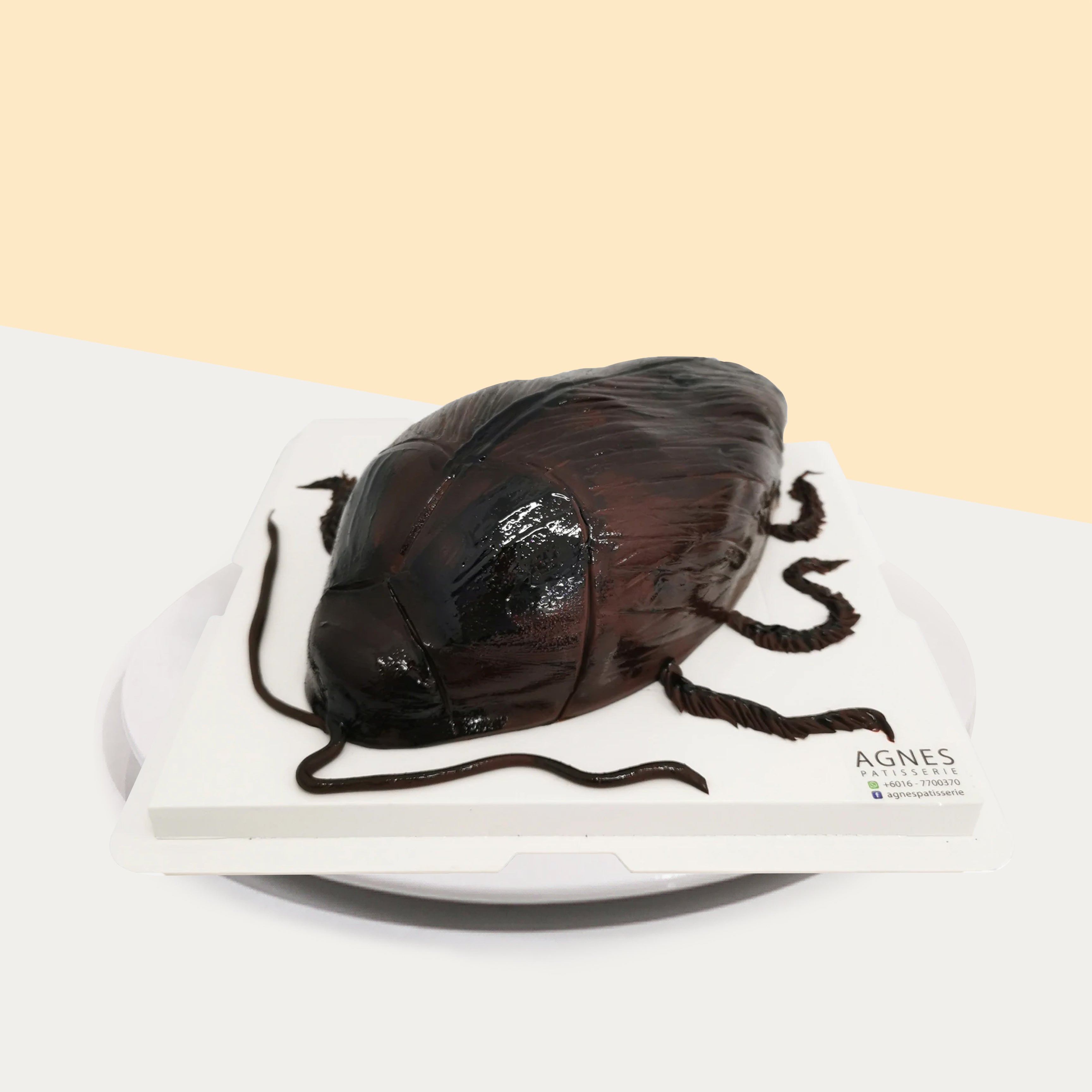 This Cockroach Chocolate Cake Looks Absolutely HORRIFYING | Teen Vogue