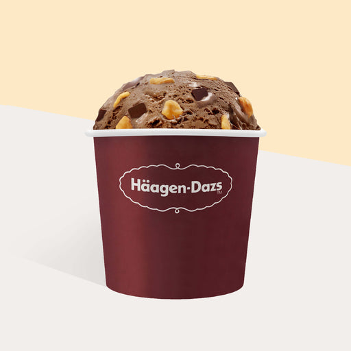 Haagen Dazs handpacked ice cream pint